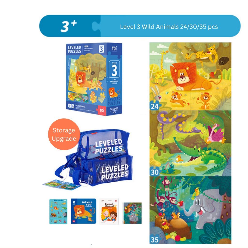 Toi World Second Generation Advanced Puzzle - Second Series